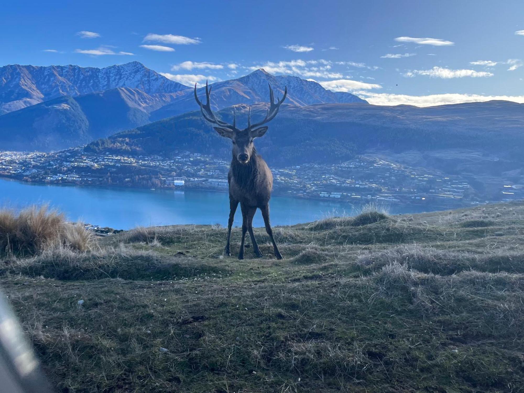 East Rock Apartment Queenstown Luaran gambar